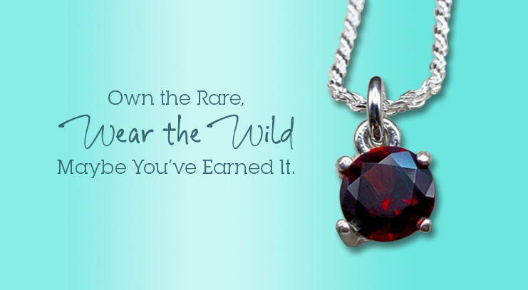 Deep crimson red wild-mined Idaho Garnet set in handcrafted Argentium Sterling Silver, displayed with a 'Shop Collections' button.